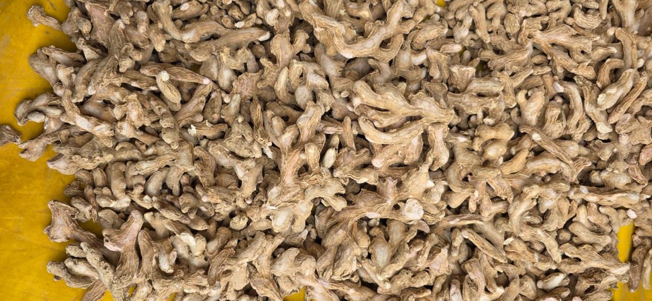 Standard Karnataka A-1 Best Quality Dry Ginger
