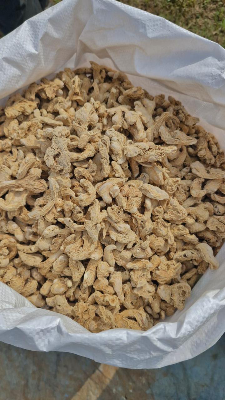 Standard Maharashtra A-1 Quality Dry Ginger