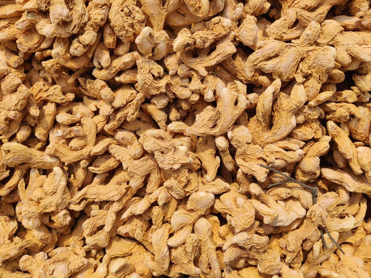 High-quality Maharashtra Deluxe Dry Ginger